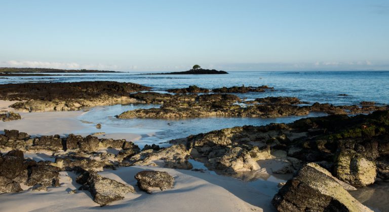 Bachas Beach - Santa Cruz in Galapagos Island beautiful white sand beach and volcanic rocks