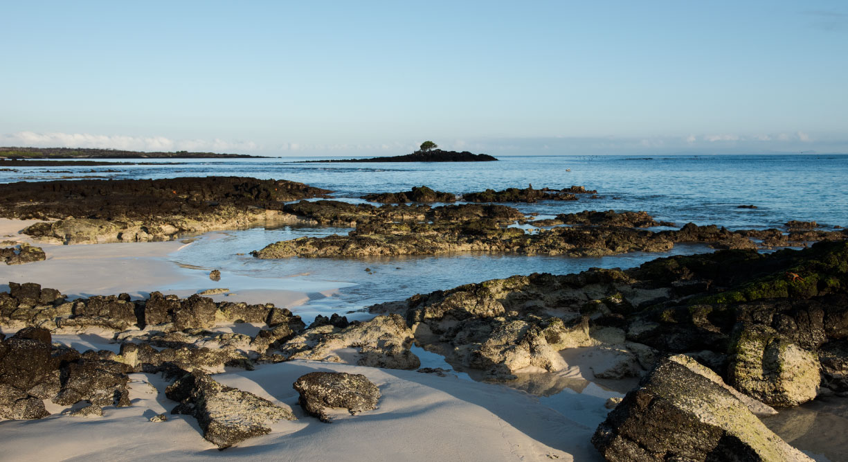 Bachas Beach - Santa Cruz in Galapagos Island beautiful white sand beach and volcanic rocks