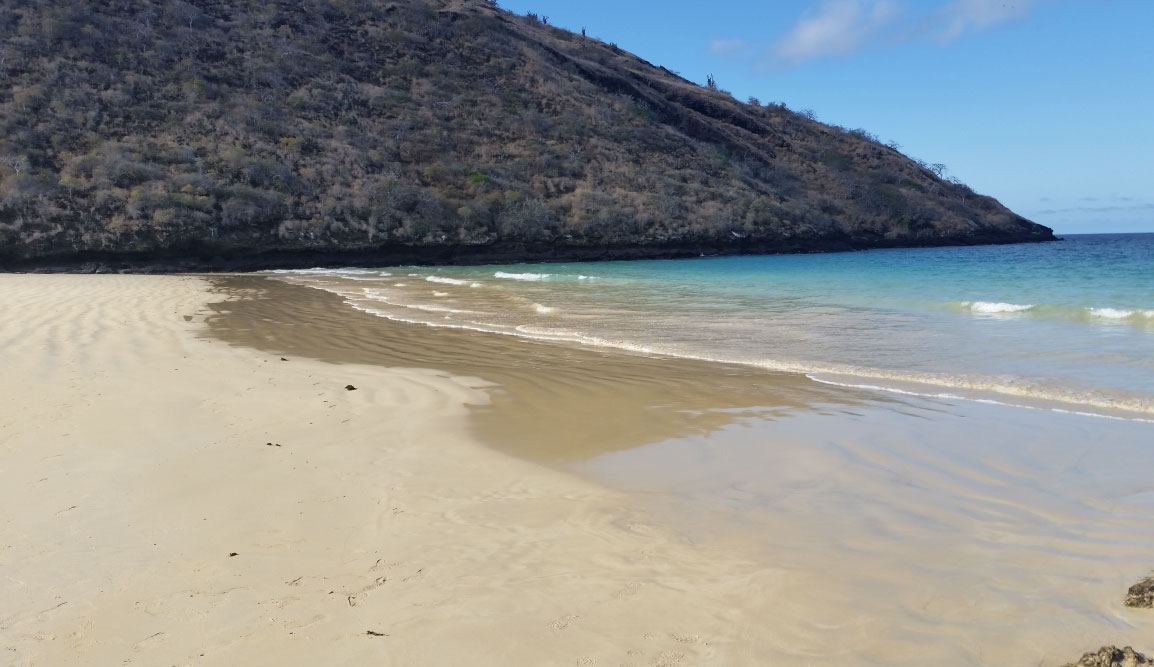 Cormorant Point - Floreana in the Galapagos, view of the beach