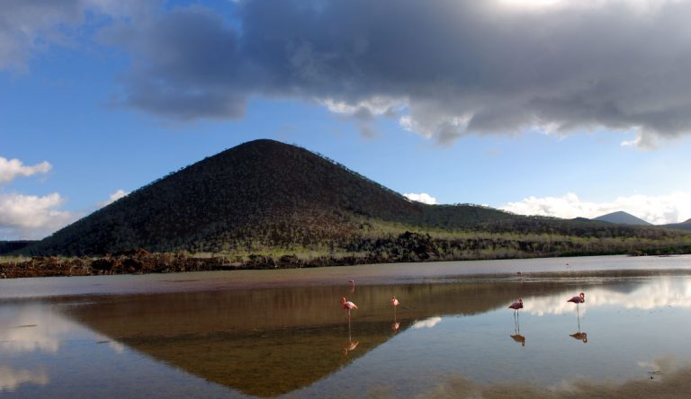 Cormorant Point - Floreana in the Galapagos, view of the volcano and flamingos in the lagoon