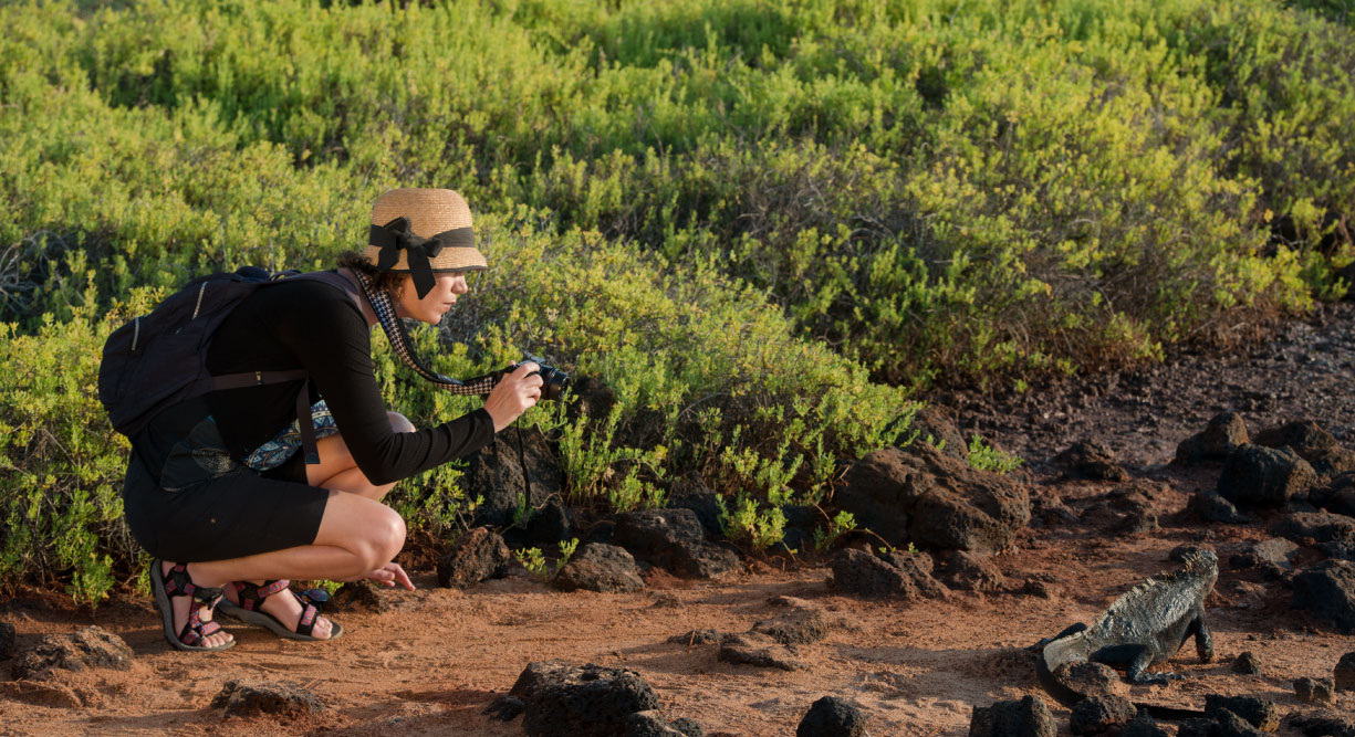 Dragon Hill - Santa Cruz in the Galapagos, tourist taking a picture of a land iguana