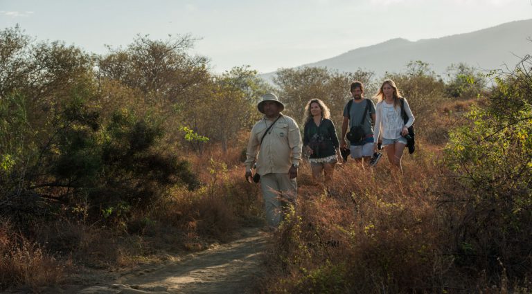 Egas port tourist hiking with experienced guide