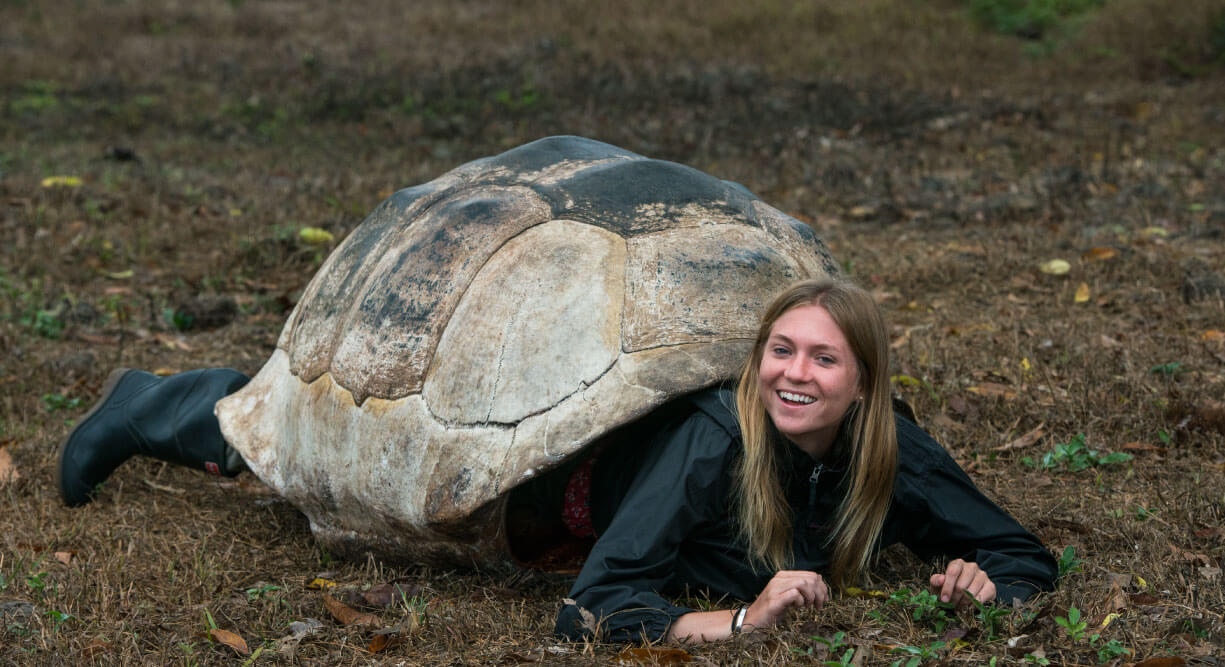 Highlands - Santa Cruz in Galapagos tourist playing with giant tortoise shell