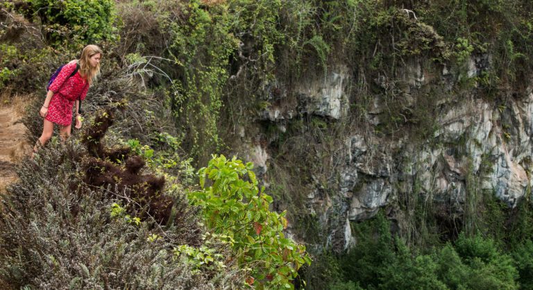 Highlands - Santa Cruz, in the Galapagos view of the crater with plants and girl tourist