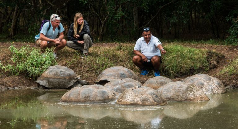 Highlands - Santa Cruz in Galapagos with tourist taking a picture of a giant tortoises