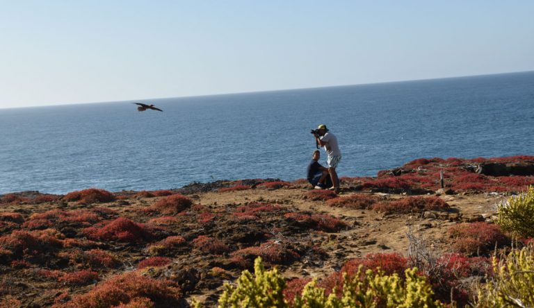 Pitt Point - San Cristobal in Galapagos Islands, view of a landscape with the sea, earth and sky