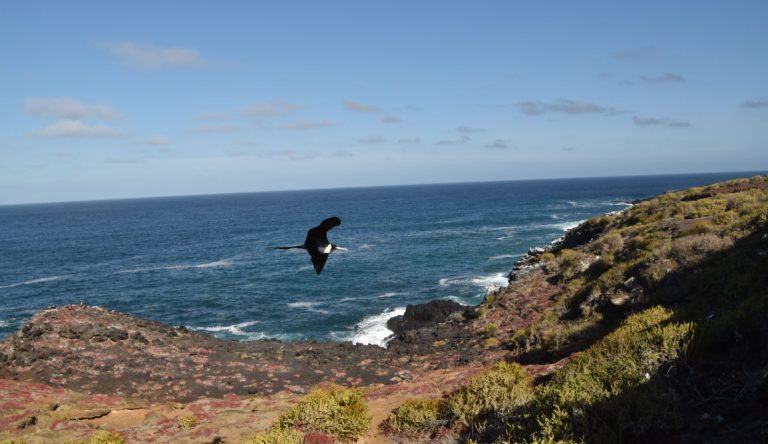 Pitt Point - San Cristobal in Galapagos Islands, view of a landscape with the sea, earth and sky