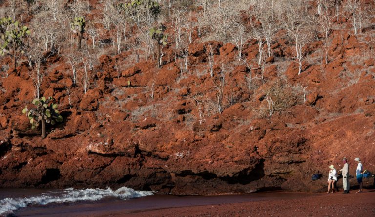 Rabida in Galapagos Islands, view of the red hill with tourist looking around