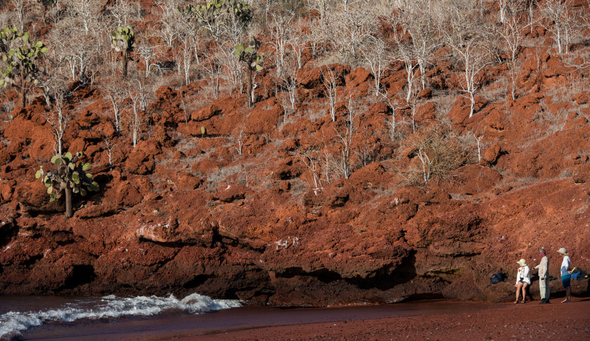 Rabida in Galapagos Islands, view of the red hill with tourist looking around