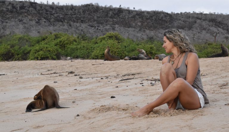 Santa Fe in Galapagos Island with Tourist looking a sea lion on the beach