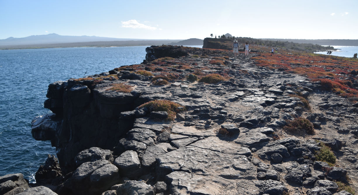 South Plaza in the Galapagos island landscape view