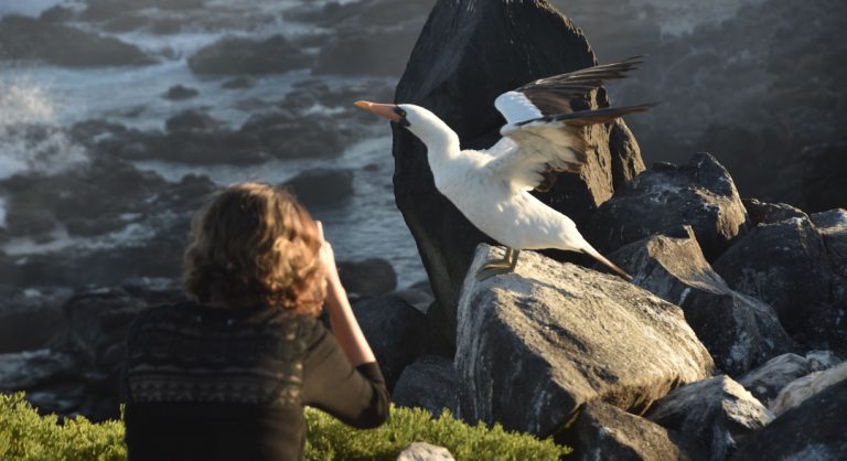 Suarez Point - Española in Galapagos Island tourist taking pictures of a masked boobies