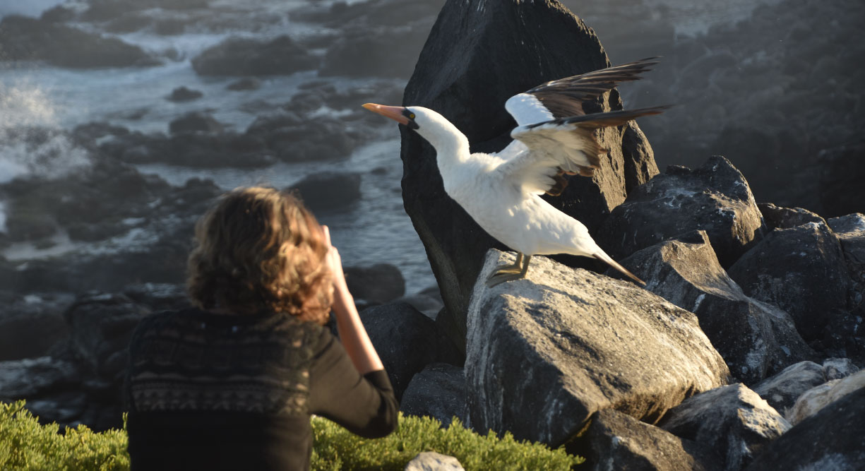 Suarez Point - Española in Galapagos Island tourist taking pictures of a masked boobies