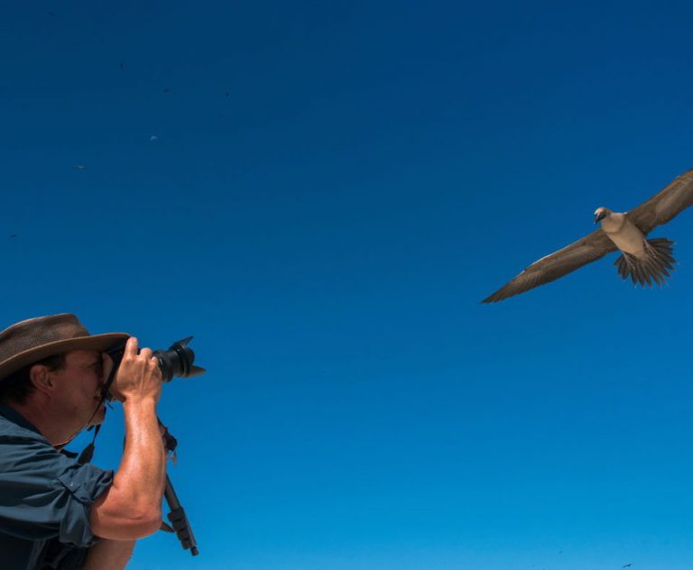 Tourist photographing a red-footed booby on the Genovesa island Galápagos