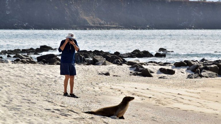 mosquera islet experience galapagos