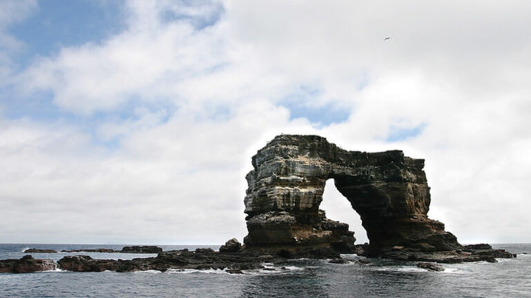 Galapagos Cruises