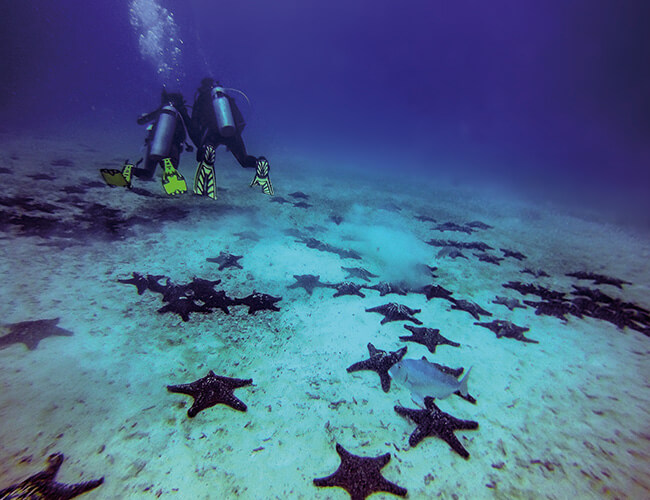 The galapagos islands belonged before to the same country as now go galapagos kleintours ecuador diving