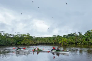 Kayaking in the Amazon