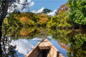 The Amazonas River