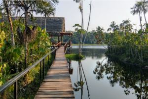 Bridge to Sacha lodge